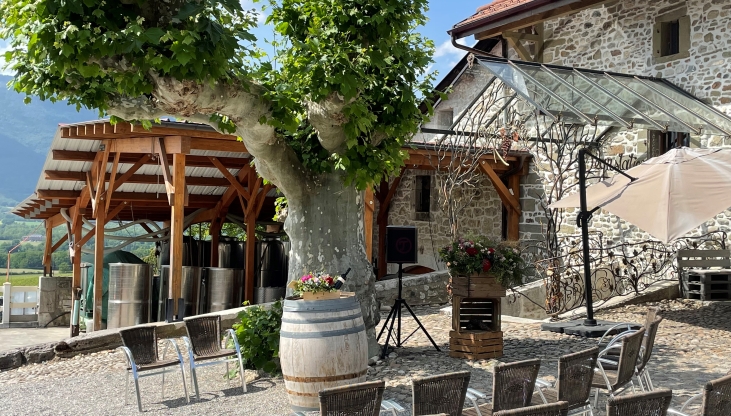 CLOS DU CHATEAU