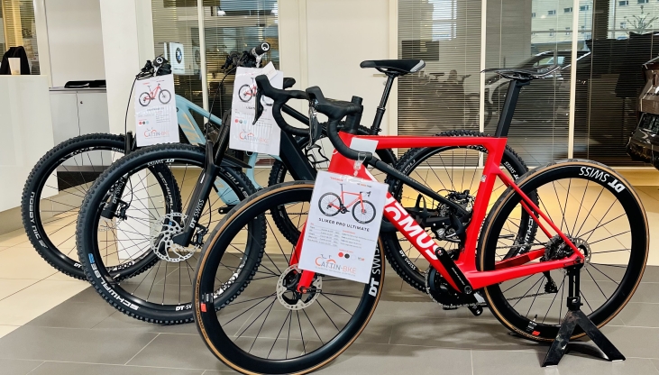 VELO DE